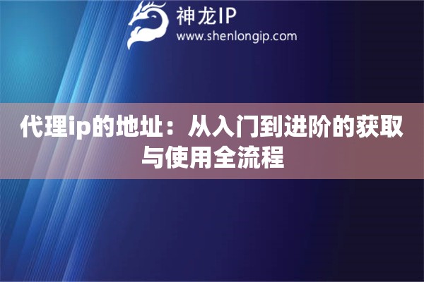 代理ip的地址：从入门到进阶的获取与使用全流程