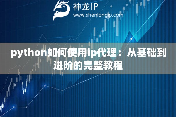 python如何使用ip代理：从基础到进阶的完整教程