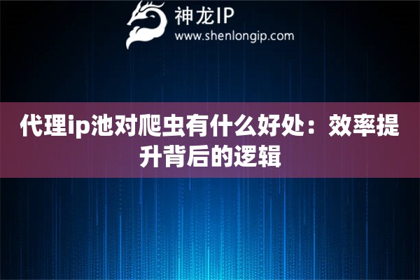 代理ip池对爬虫有什么好处：效率提升背后的逻辑