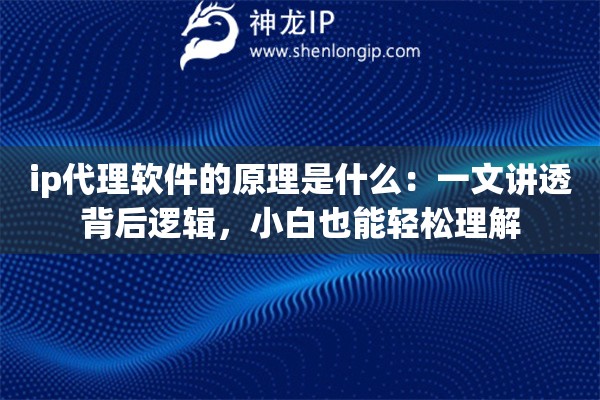 ip代理软件的原理是什么：一文讲透背后逻辑，小白也能轻松理解