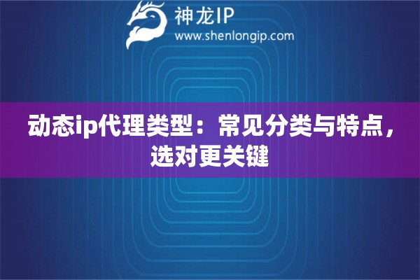 动态ip代理类型：常见分类与特点，选对更关键