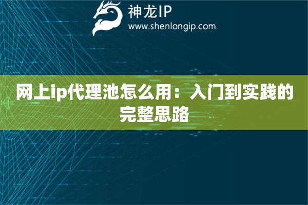 网上ip代理池怎么用：入门到实践的完整思路