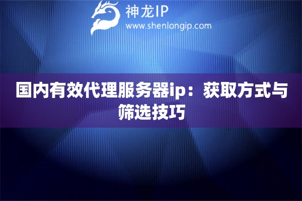 国内有效代理服务器ip：获取方式与筛选技巧