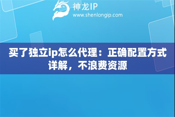 买了独立ip怎么代理：正确配置方式详解，不浪费资源