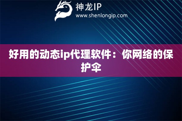 好用的动态ip代理软件：你网络的保护伞
