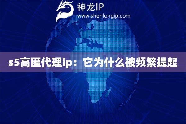 s5高匿代理ip：它为什么被频繁提起