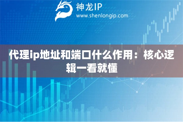 代理ip地址和端口什么作用：核心逻辑一看就懂