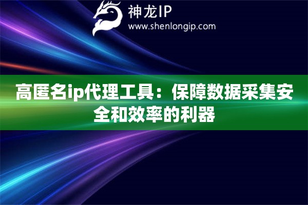 高匿名ip代理工具：保障数据采集安全和效率的利器