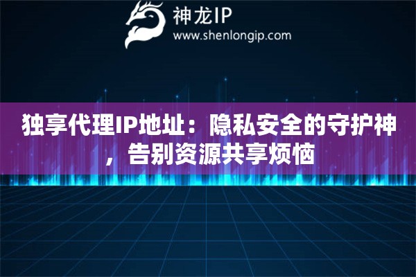 独享代理IP地址：隐私安全的守护神，告别资源共享烦恼