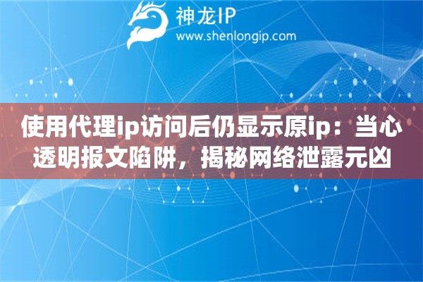 使用代理ip访问后仍显示原ip：当心透明报文陷阱，揭秘网络泄露元凶