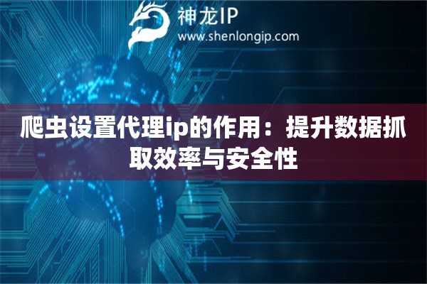 爬虫设置代理ip的作用：提升数据抓取效率与安全性