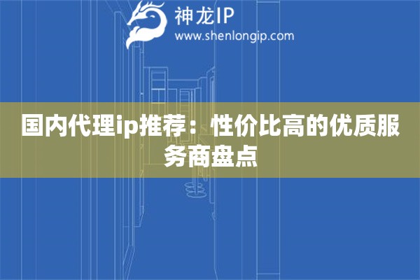 国内代理ip推荐:性价比高的优质服务商盘点 国内代理ip推荐:性价比高的优质服务商盘点