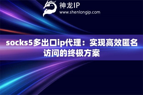 socks5多出口ip代理：实现高效匿名访问的终极方案