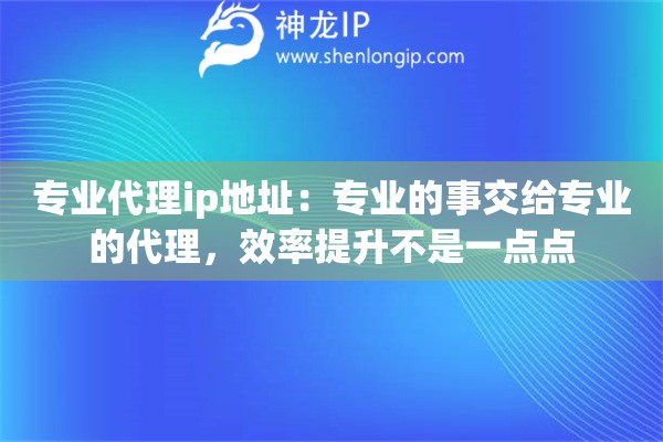 专业代理ip地址：专业的事交给专业的代理，效率提升不是一点点