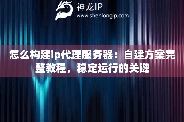 怎么构建ip代理服务器：自建方案完整教程，稳定运行的关键