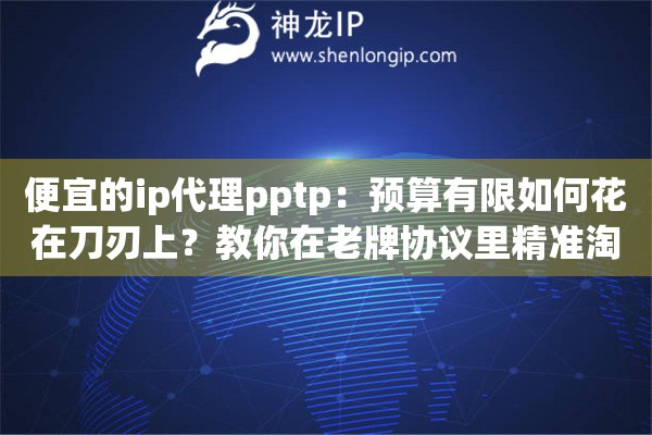 便宜的ip代理pptp：预算有限如何花在刀刃上？教你在老牌协议里精准淘到高性价比真香资源