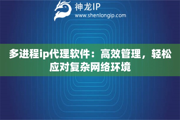 多进程ip代理软件：高效管理，轻松应对复杂网络环境