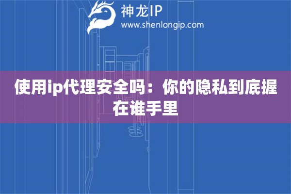使用ip代理安全吗：你的隐私到底握在谁手里