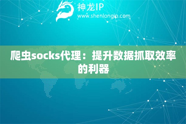 爬虫socks代理：提升数据抓取效率的利器