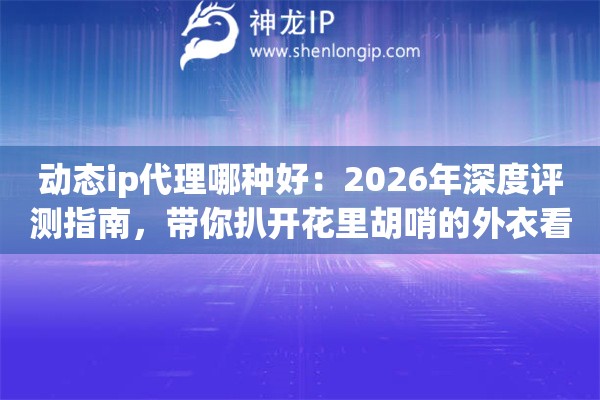动态ip代理哪种好:2026年深度评测指南,带你扒开花里胡哨的外衣看真实力 动态ip代理哪种好:2026年深度评测指南,带你扒开花里胡哨的外衣看真实力