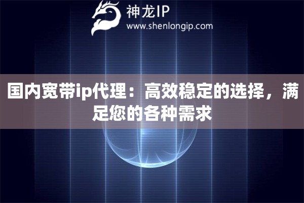 国内宽带ip代理：高效稳定的选择，满足您的各种需求