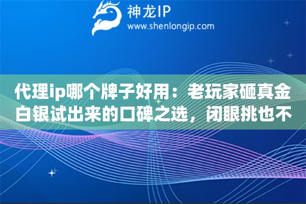 代理ip哪个牌子好用：老玩家砸真金白银试出来的口碑之选，闭眼挑也不踩雷