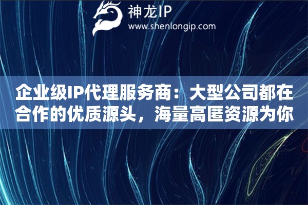 企业级IP代理服务商：大型公司都在合作的优质源头，海量高匿资源为你保驾护航