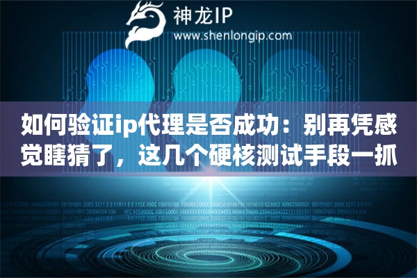 如何验证ip代理是否成功：别再凭感觉瞎猜了，这几个硬核测试手段一抓一个准