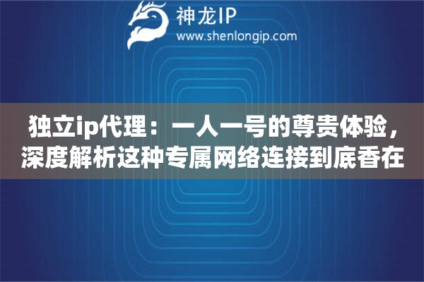 独立ip代理：一人一号的尊贵体验，深度解析这种专属网络连接到底香在哪里