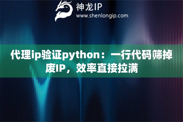 代理ip验证python：一行代码筛掉废IP，效率直接拉满