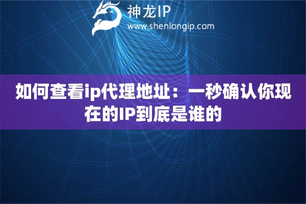 如何查看ip代理地址：一秒确认你现在的IP到底是谁的