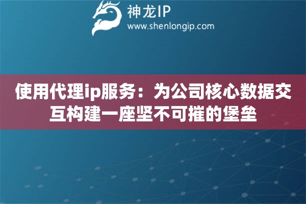 使用代理ip服务：为公司核心数据交互构建一座坚不可摧的堡垒
