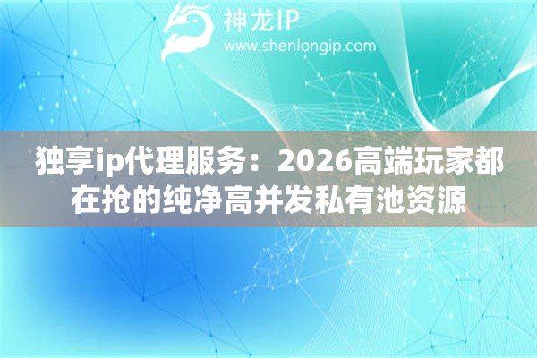 独享ip代理服务：2026高端玩家都在抢的纯净高并发私有池资源