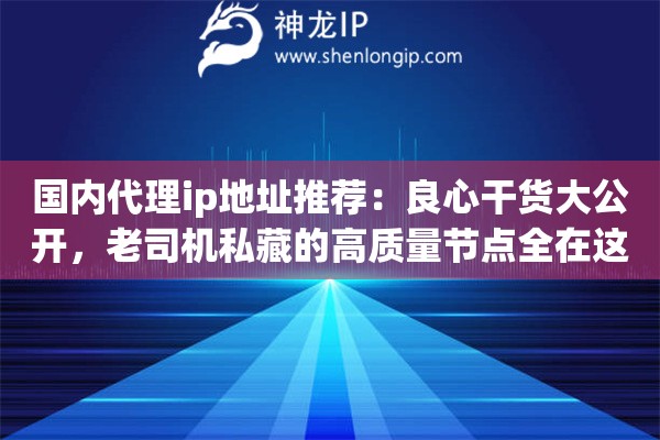 国内代理ip地址推荐:良心干货大公开,老司机私藏的高质量节点全在这了 国内代理ip地址推荐:良心干货大公开,老司机私藏的高质量节点全在这了