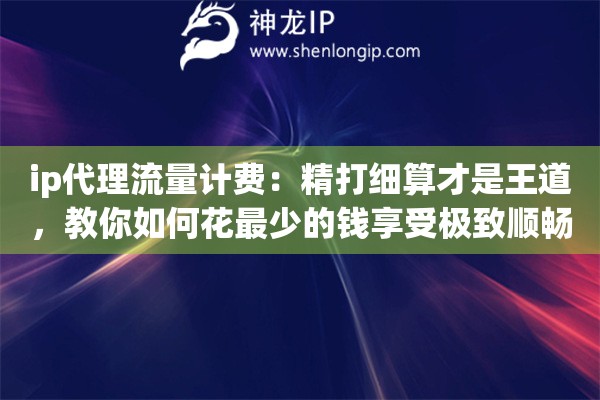 ip代理流量计费:精打细算才是王道,教你如何花最少的钱享受极致顺畅体验 ip代理流量计费:精打细算才是王道,教你如何花最少的钱享受极致顺畅体验