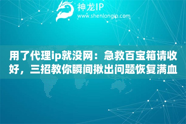用了代理ip就没网:急救百宝箱请收好,三招教你瞬间揪出问题恢复满血状态 用了代理ip就没网:急救百宝箱请收好,三招教你瞬间揪出问题恢复满血状态