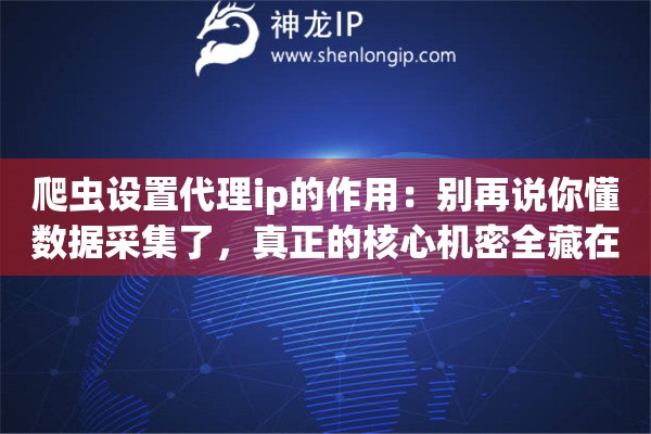 爬虫设置代理ip的作用：别再说你懂数据采集了，真正的核心机密全藏在那些细节里