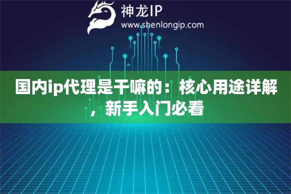 国内ip代理是干嘛的:核心用途详解,新手入门必看 国内ip代理是干嘛的:核心用途详解,新手入门必看