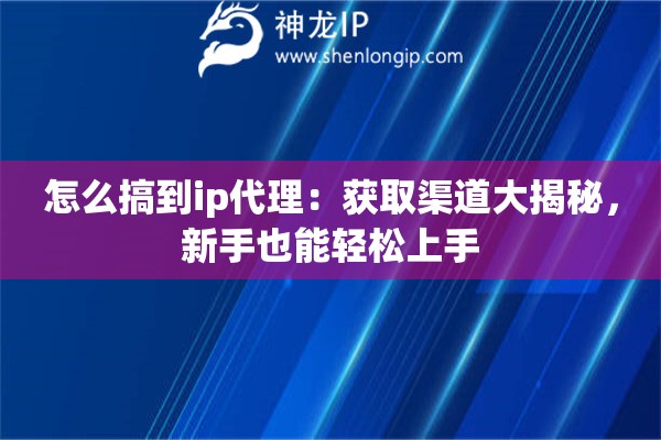 怎么搞到ip代理：获取渠道大揭秘，新手也能轻松上手