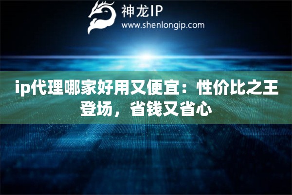 ip代理哪家好用又便宜：性价比之王登场，省钱又省心