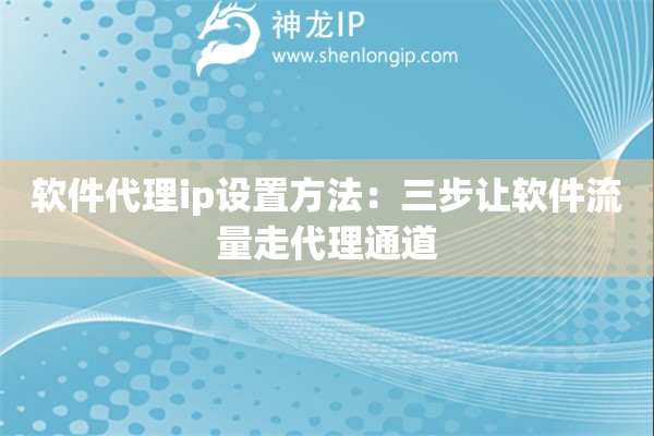 软件代理ip设置方法：三步让软件流量走代理通道