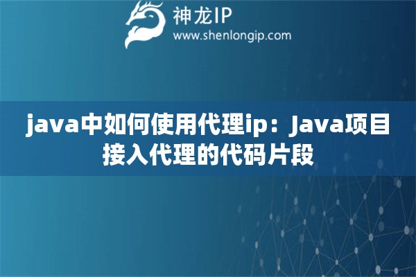 java中如何使用代理ip：Java项目接入代理的代码片段