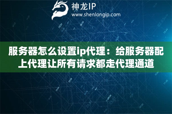 服务器怎么设置ip代理：给服务器配上代理让所有请求都走代理通道