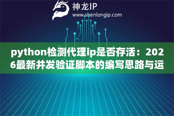 python检测代理ip是否存活：2026最新并发验证脚本的编写思路与运行逻辑