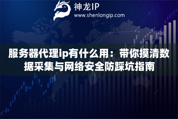 服务器代理ip有什么用：带你摸清数据采集与网络安全防踩坑指南