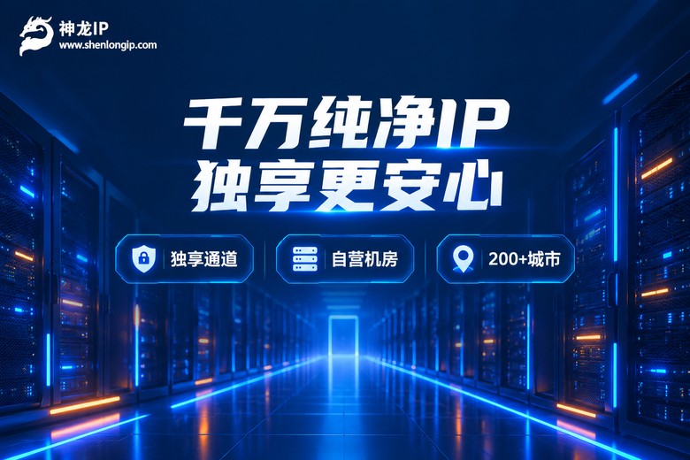 神龙IP千万纯净独享IP