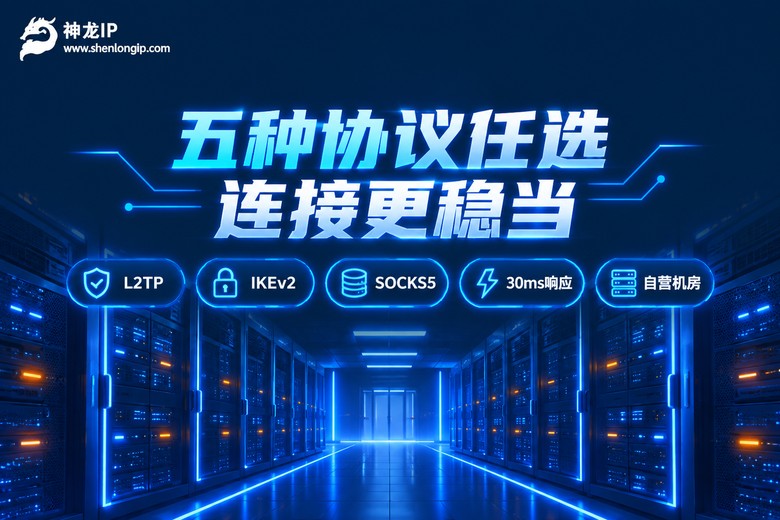 神龙IP多协议稳定连接品牌图