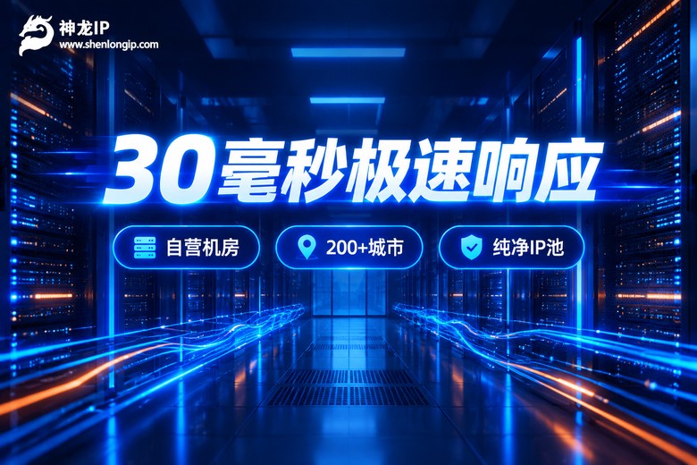 神龙IP 30毫秒极速响应品牌信息图