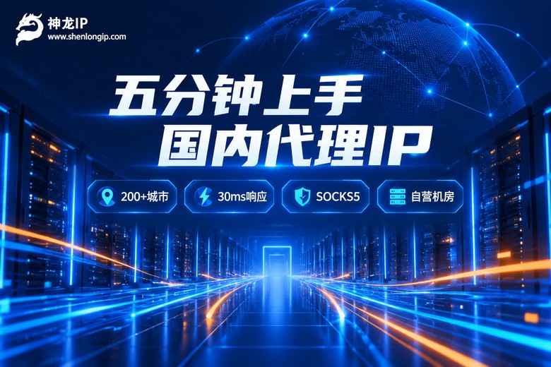 神龙IP国内代理IP快速上手品牌宣传图