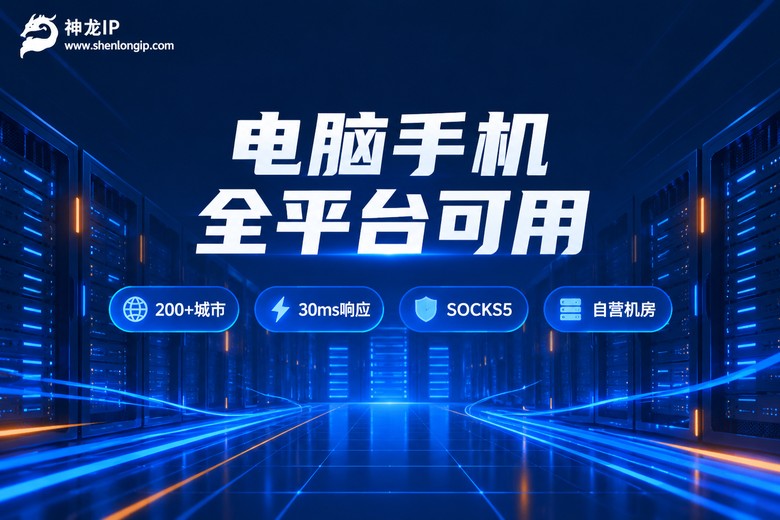 神龙IP全平台可用品牌信息图